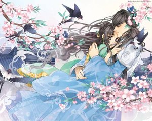 全身精油spa视频